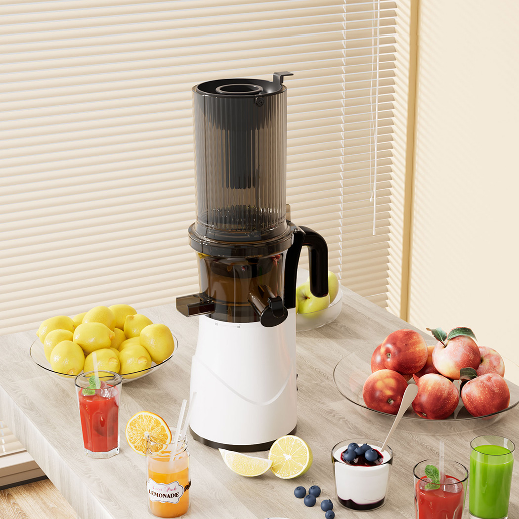 Spector Electric Cold Press Juicer Whole Fruit - Image 7